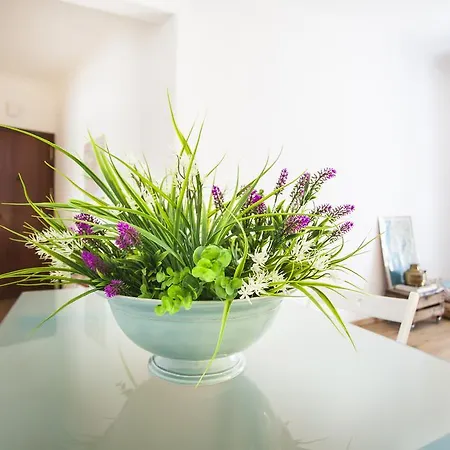 St. Antonio Sunny Appartement *